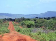 Read More - Breaking Ground for Wells in Uganda, Liberia, and Ethiopia: 3 mos report