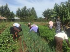 Read More - FGHL Blog: Christopher Wahlfeld - Integrated approach to community health touches all aspects of daily life 