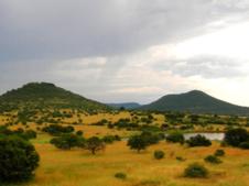 Read More - Video: Save the Children, Frist in Maputo