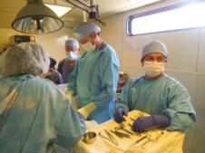 Read More - FGHL Blog: Rebecca Pfaff - The Foundation