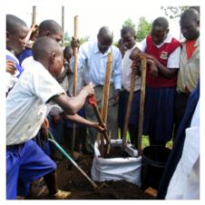 Read More - FGHL Blog: Angie Boehmer - Malnutrition - A Complex Problem Requires a Holistic Solution