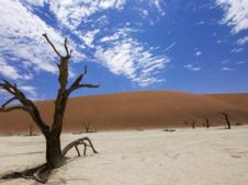 Read More - FGHL Blog: Carolina Pinzon-Guzman - Blog 1 from Kenya